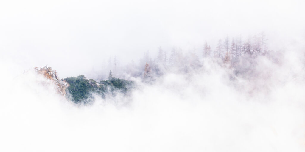 so01_Martin_Friedl_Nebelinsel