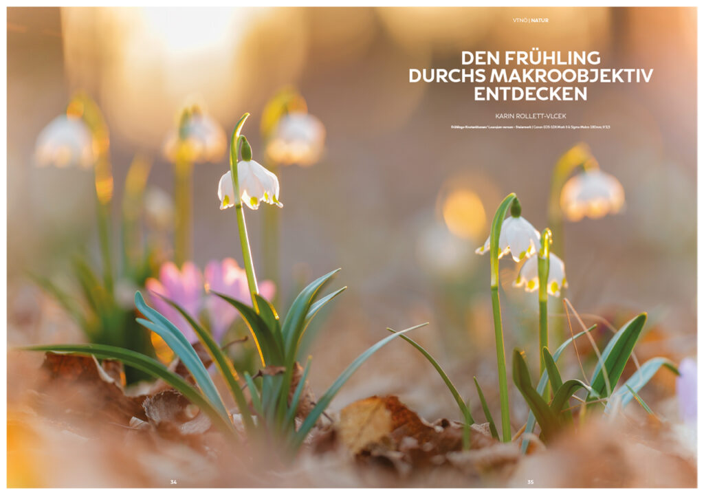 Den Frühling durchs Makroobjektiv entdecken