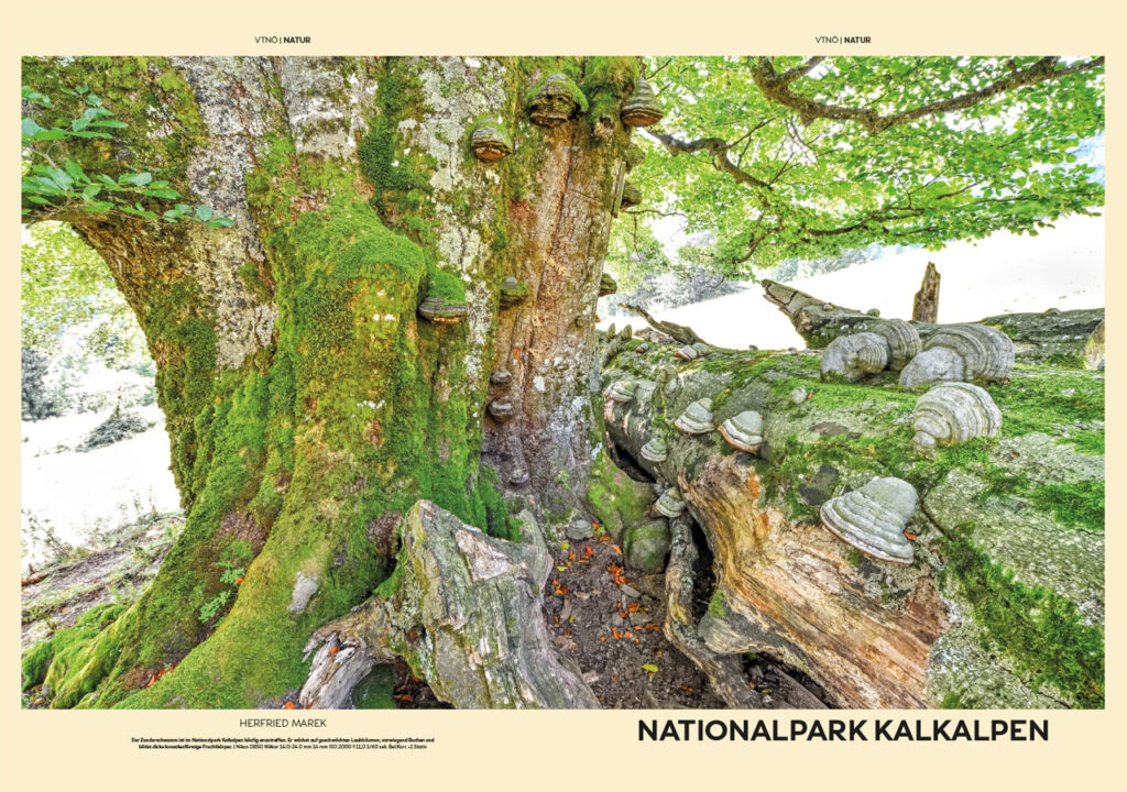 Nationalpark Kalkalpen