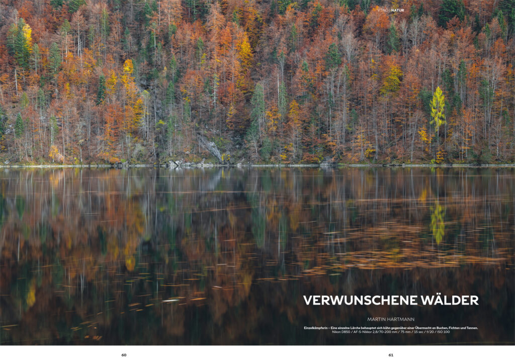 Verwunschene Wälder - Martin Hartmann