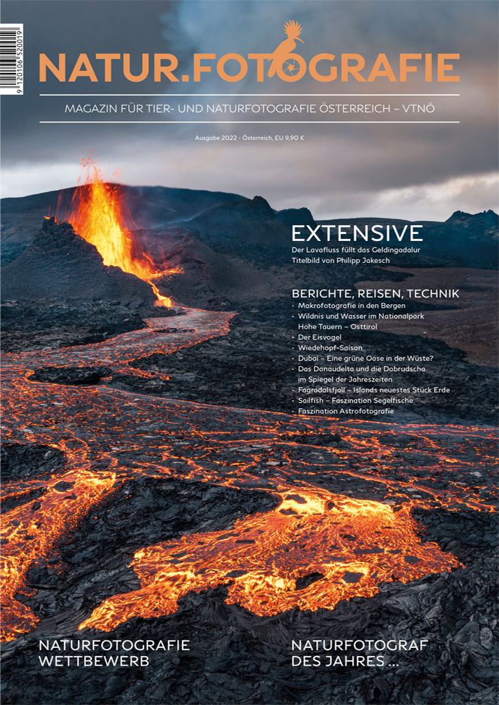 Magazin 2022