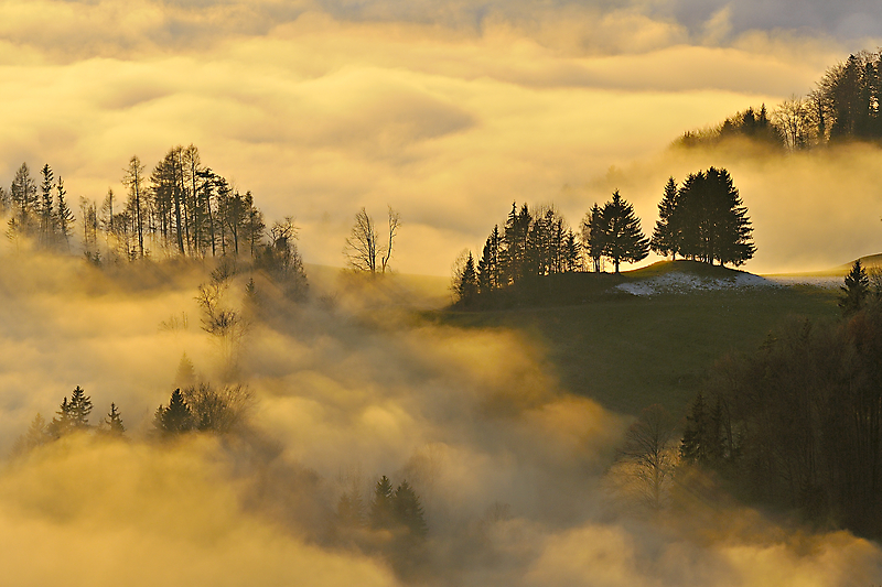 Platz 01 - Nebelstimmung - Ewald Neffe